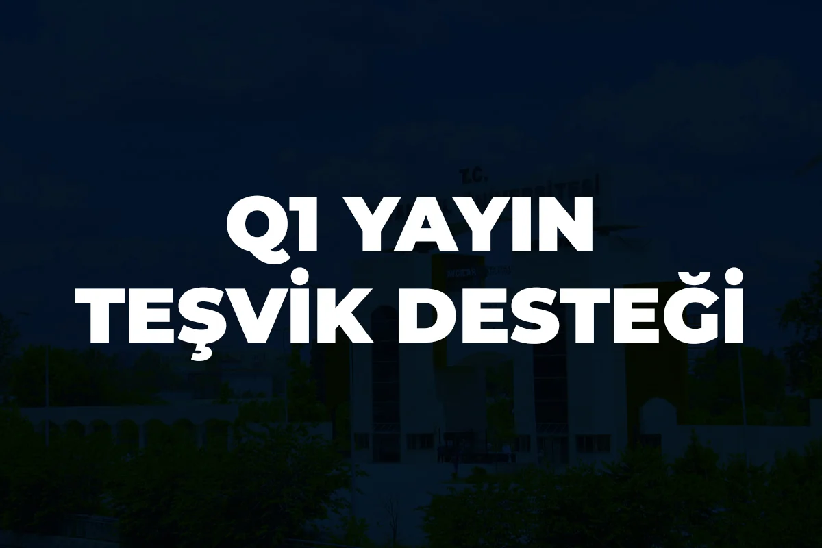 Q1 Yayın Teşvik Desteği
