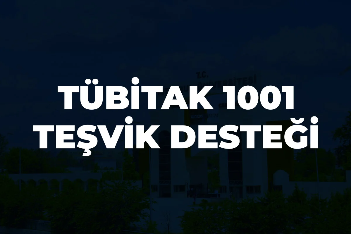 TÜBİTAK 1001 Teşvik Desteği